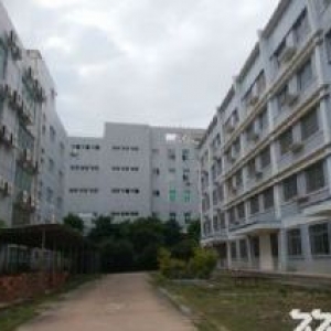 同安工业集中区30000平方标准厂房出租，可分租