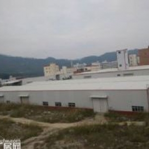 同安标准钢结构25000平方出租