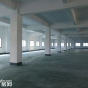 殿前 疏港路杏林大桥引桥口 楼上厂房