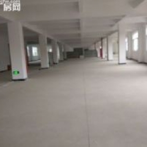 海沧标准厂房90000平方出租（可分租）