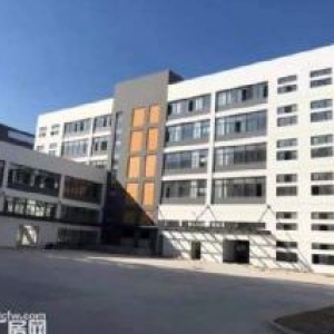 龙池工业区 独栋标准厂房出租1500平起租