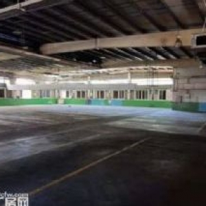 杏林18000平厂房  1800平起