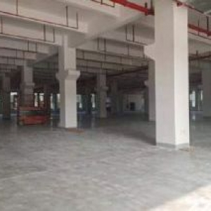 东孚独院厂房出租 1000平起租 可