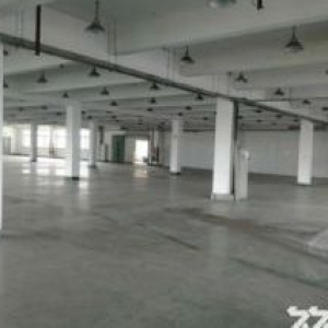 新阳工业区 8000平两栋厂房出租 