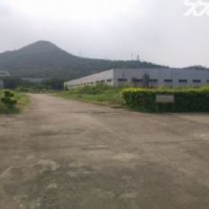 标准厂房26000平，15000平，20000平出租（可分租