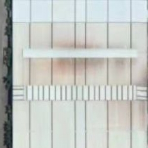 独门独院全新46000平方钢结构厂房招商