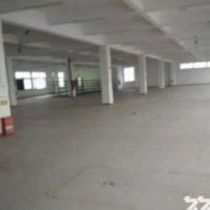 翔安标准厂房36500平方出租（可分租）