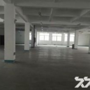 翔安巷北工业区标准厂房1600招租