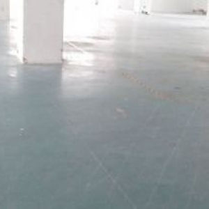 123楼6500平米出租