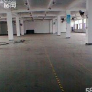 同安城东工业区2楼3楼每层800平出租