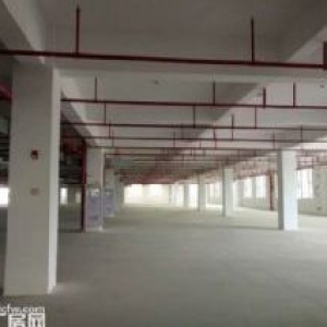 出租) 出租翔安马巷标准工业园厂房500到100