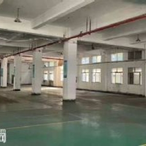 杏林独门独院 3楼2310平 高度5