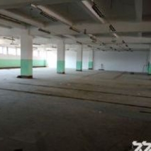 同集路标准厂房1楼400平2楼600平