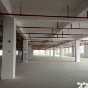 集美区 后溪镇 标准厂房3层每层33