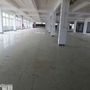 出租杏林3楼标准厂房5300，可分割