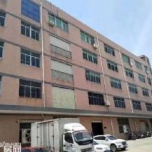 出租杏北工业区楼上标准厂房，1400平，1600平，环评可做