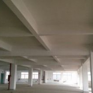 别墅带厂房出售独门独院