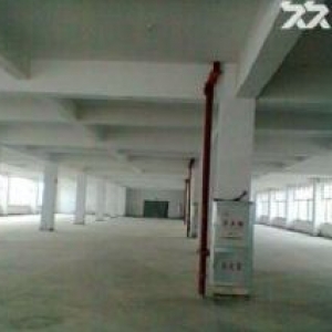 灌南工业区标准厂房5000平出售