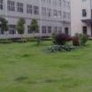 灌口独门独院标准厂房和钢构厂房出售