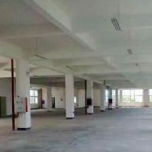 厦门集美区嘉庚体育馆附近厂房出售