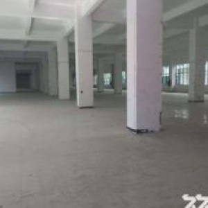 5楼2260平出售，13950086480