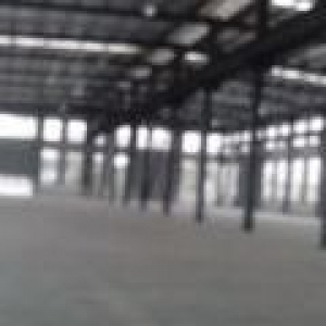 独门独院钢构出售30000平米