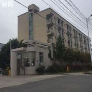 集中工业区 整栋 1万平 