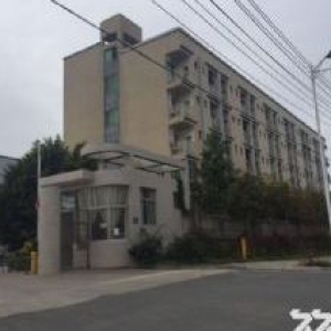 后溪工 业区 独门独院 