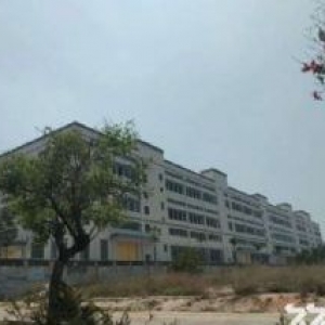 集美独门独院100亩建58000平方钢结构出售