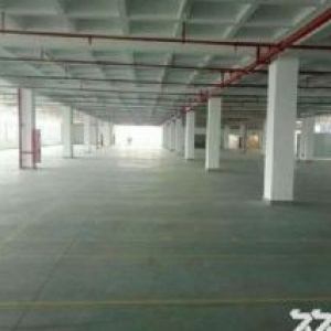 同安标准厂房独栋6800平方出售