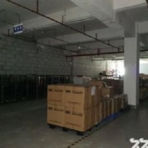 集美北区独门独院厂房出售