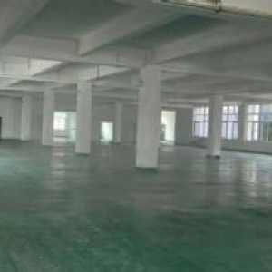 翔安火炬园单层独立产权4楼2200平方出售