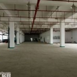 西柯环东海域1楼2楼3楼每层1800平可分层出售