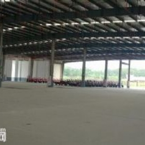 翔安马巷标准钢结构厂房31000平方出售