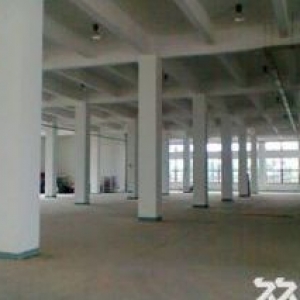 集美灌口1楼标准厂房2000平出售