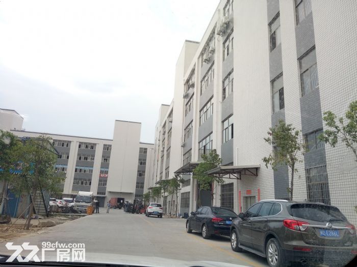 同安工业集中区多个厂房出租，12000平方，16000平方，49000平方