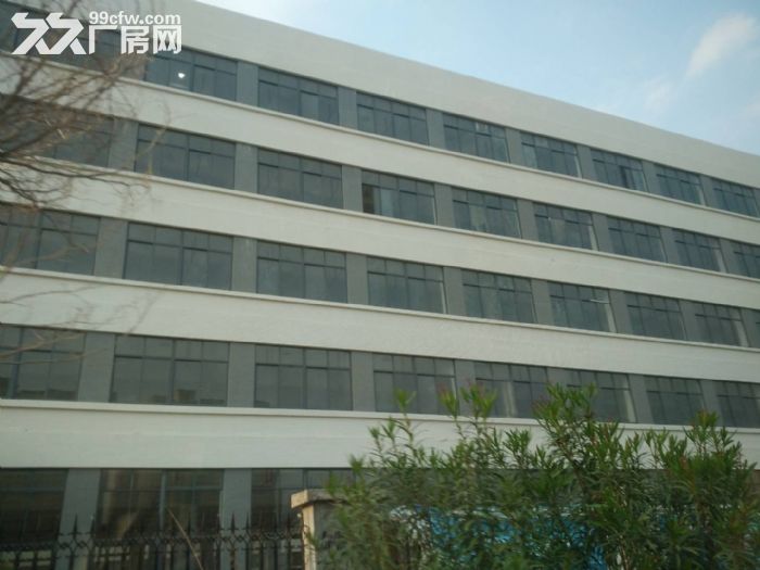 翔安火炬园标准厂房36000平方出租（可分租）