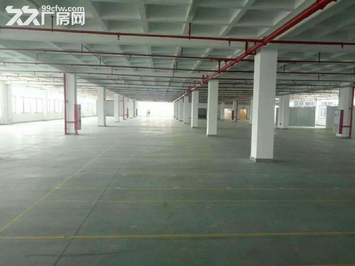翔安标准厂房招租2000−80000平方出租，可分租