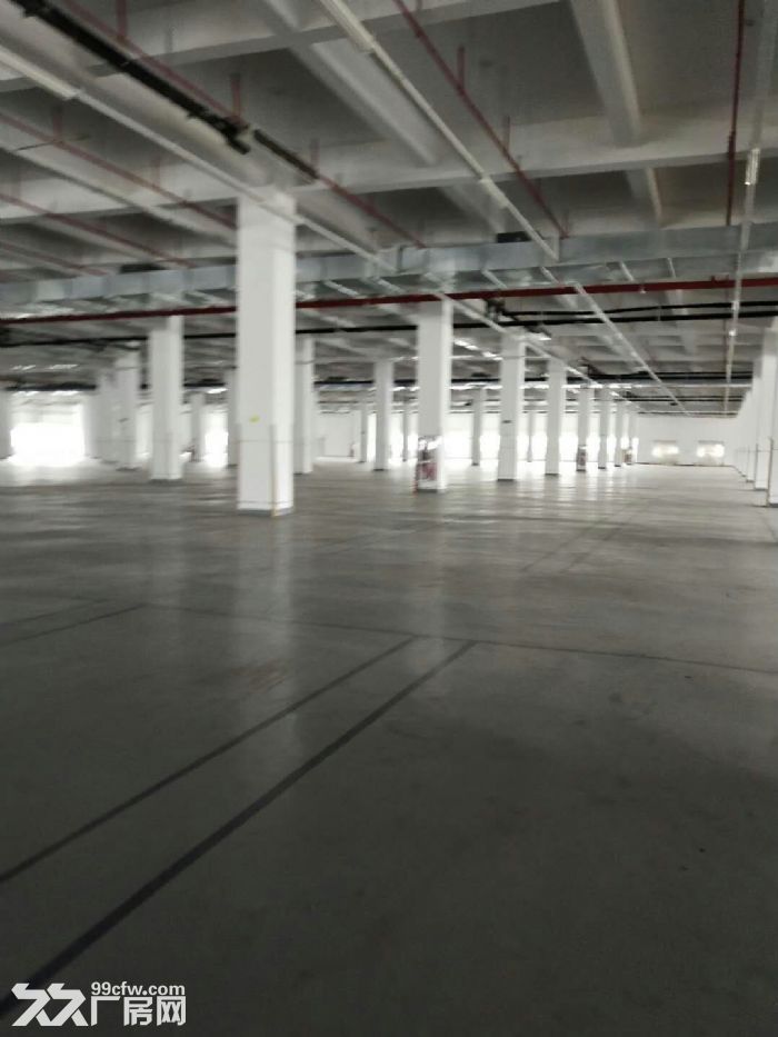 翔安独门独院51000平方出租或出售