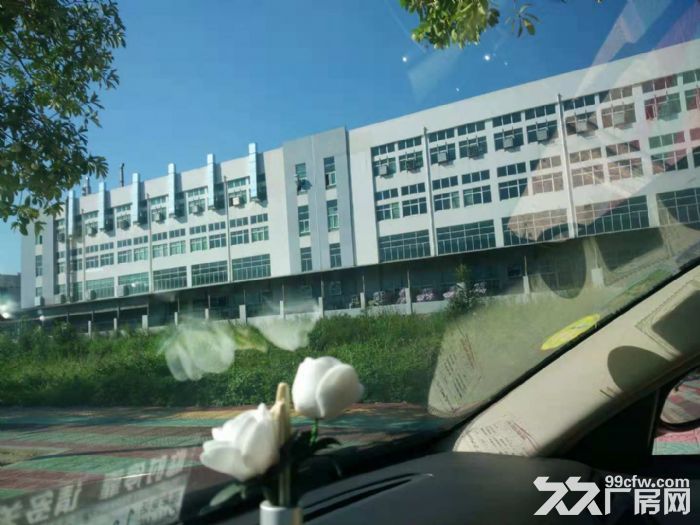 工业区标准厂房，16000平，23000平，15000平，20000平出租