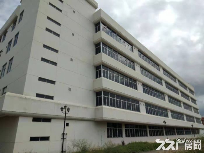 翔安火炬园独门独院35000平方框架厂房招租