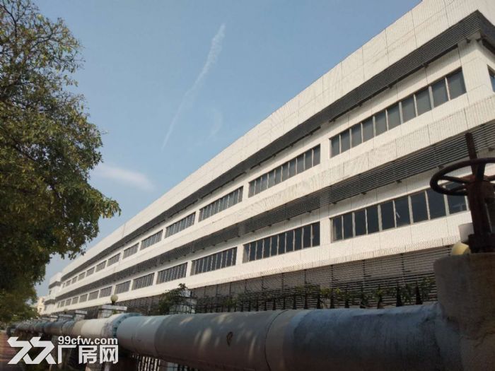 翔安新圩独门独栋6000平厂 房出租