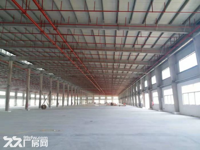 同安城东独门独院10000平钢构厂房