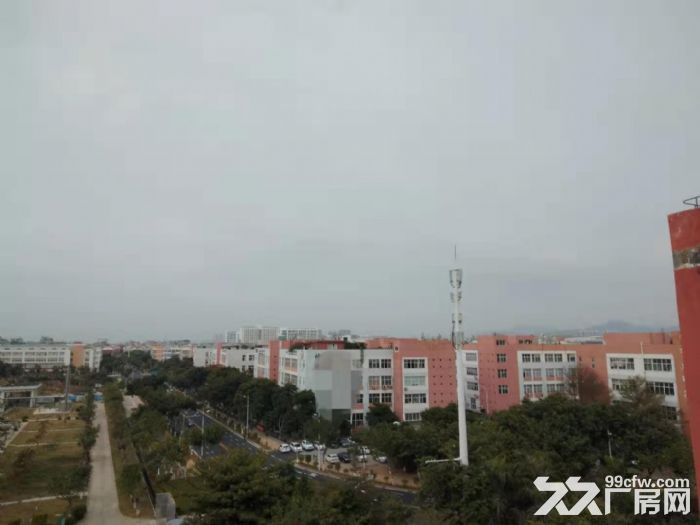 同安工业区独门独院15000平方新厂房出租