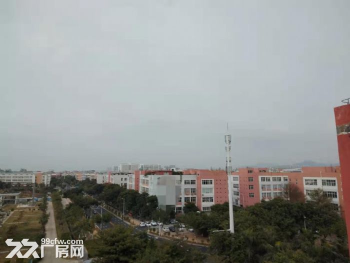 翔安火炬园独门独院40000平方全新框架厂房出租