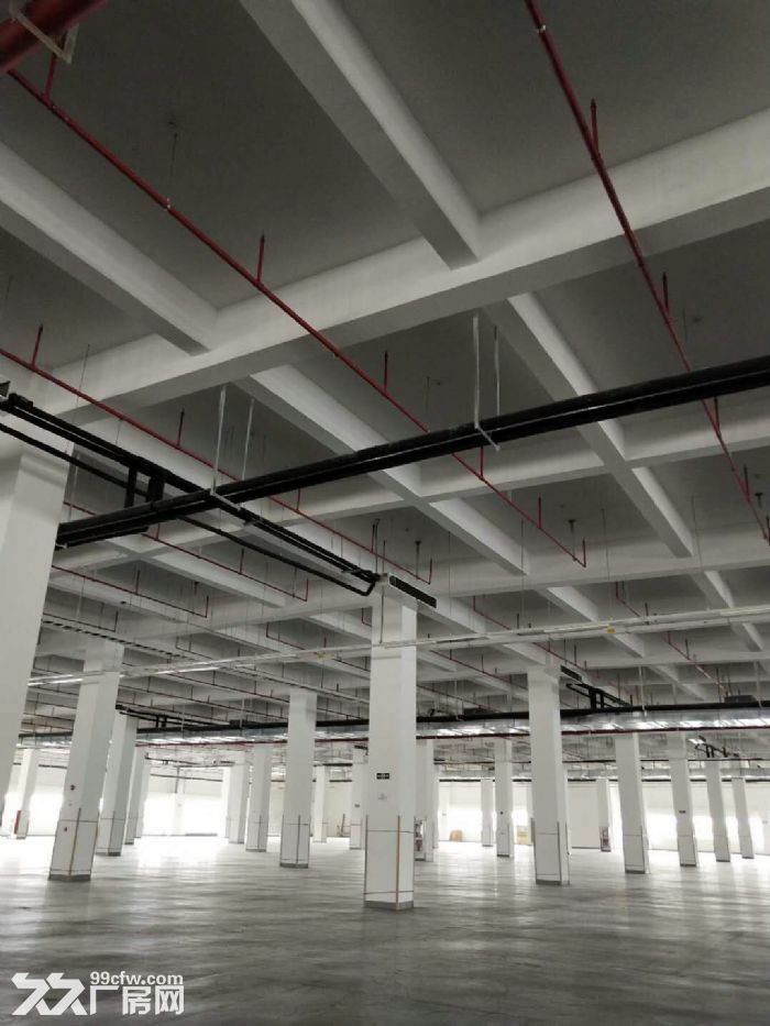 标准厂房6万平方，2万平方，35000平方，55000平方出租