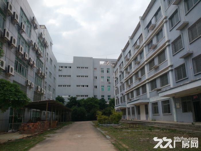 同安工业集中区30000平方标准厂房出租，可分租