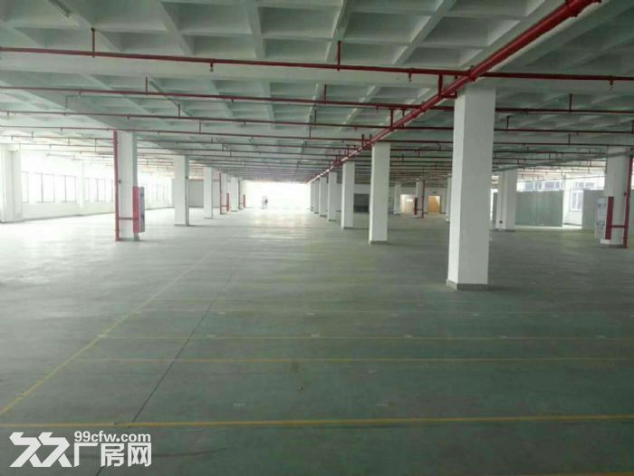 长泰标准钢结构60000平方出租，角美标准钢结构43000平方出租