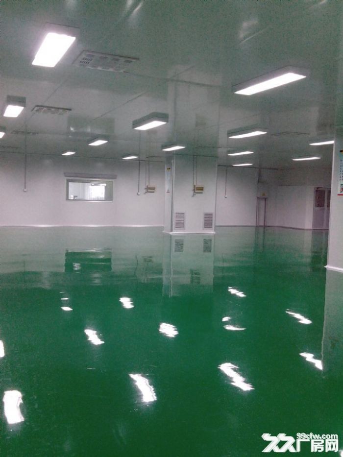 2楼8米 6米高标准厂房出租便宜的10元