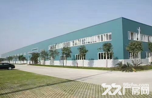 同安独门独院80000平方钢结构厂房招租